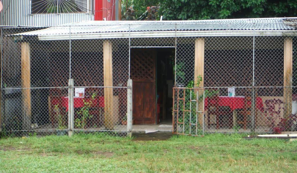 Cabinas Miss Miriam 1 Tortuguero Bagian luar foto
